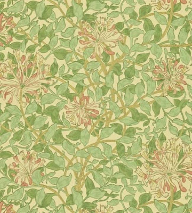 Beige - Honeysuckle
