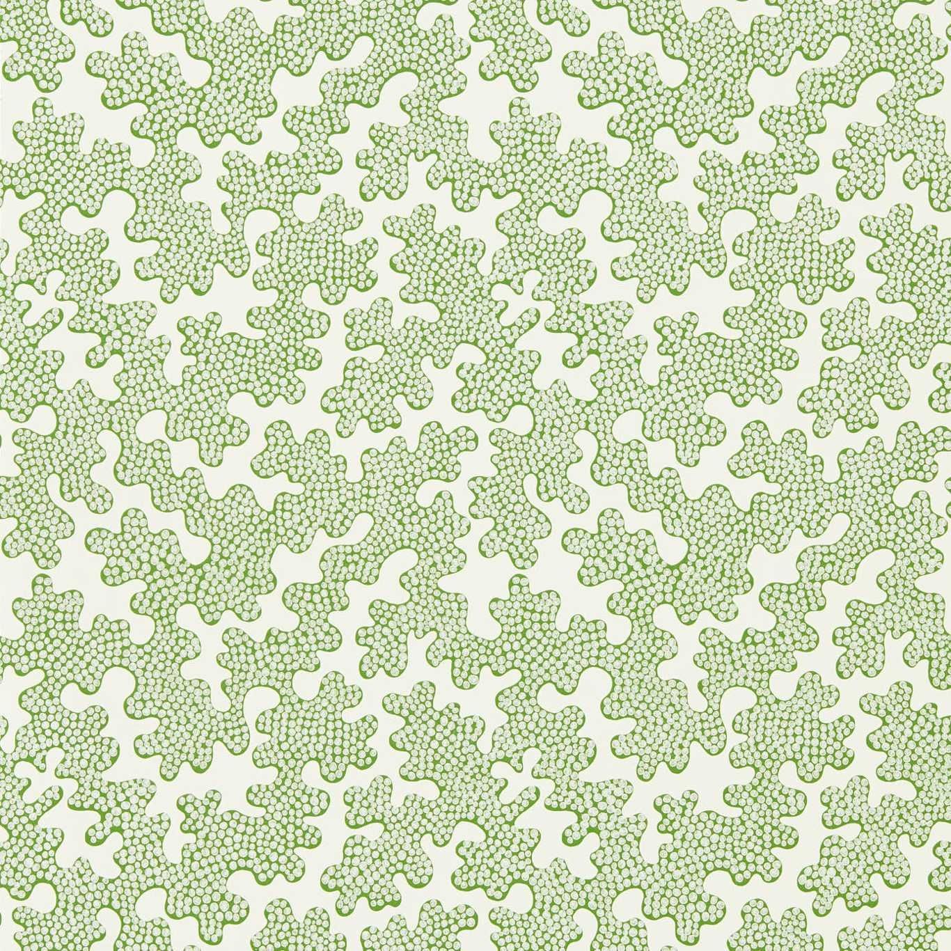 Green - Zori