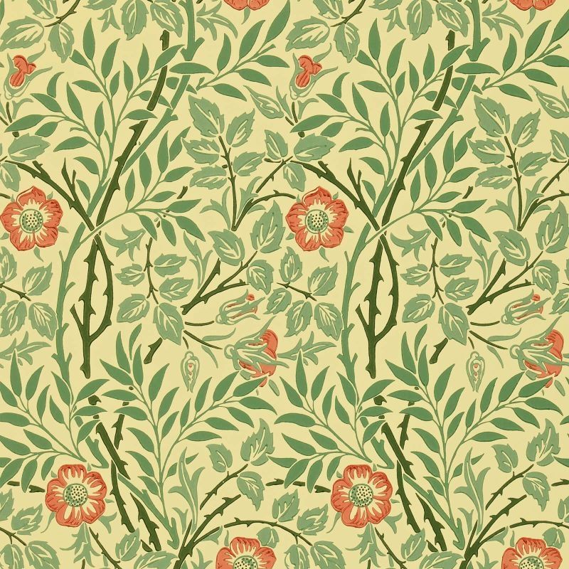 Sage - Sweet Briar
