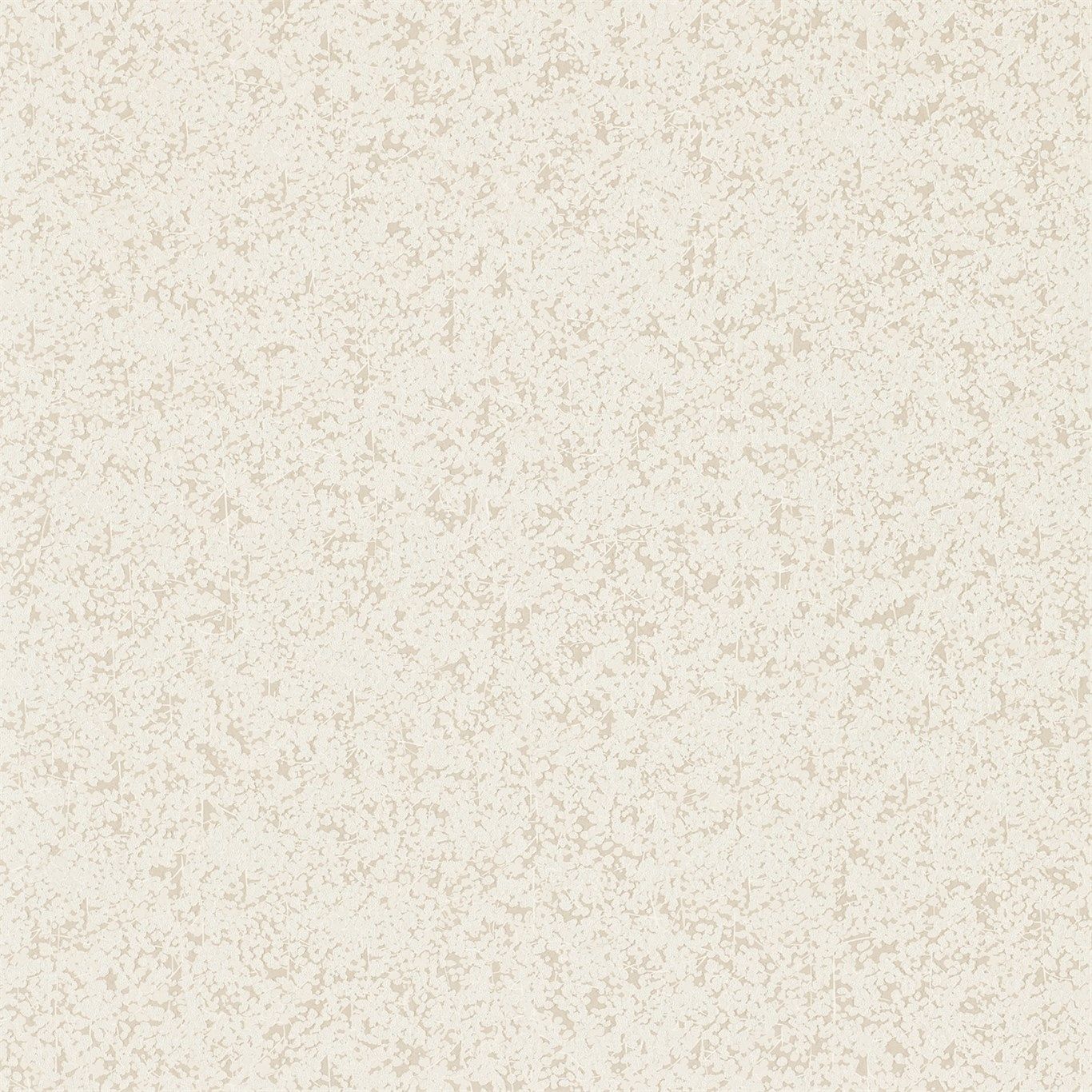 Champagne - Coral Anthology