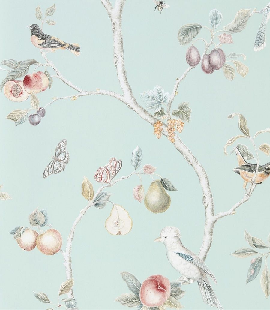 Duck Egg - Fruit Aviary