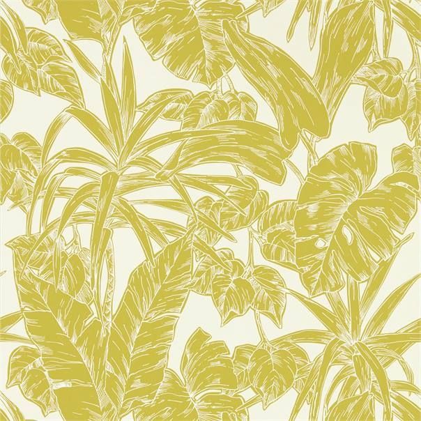 Mustard - Parlour Palm