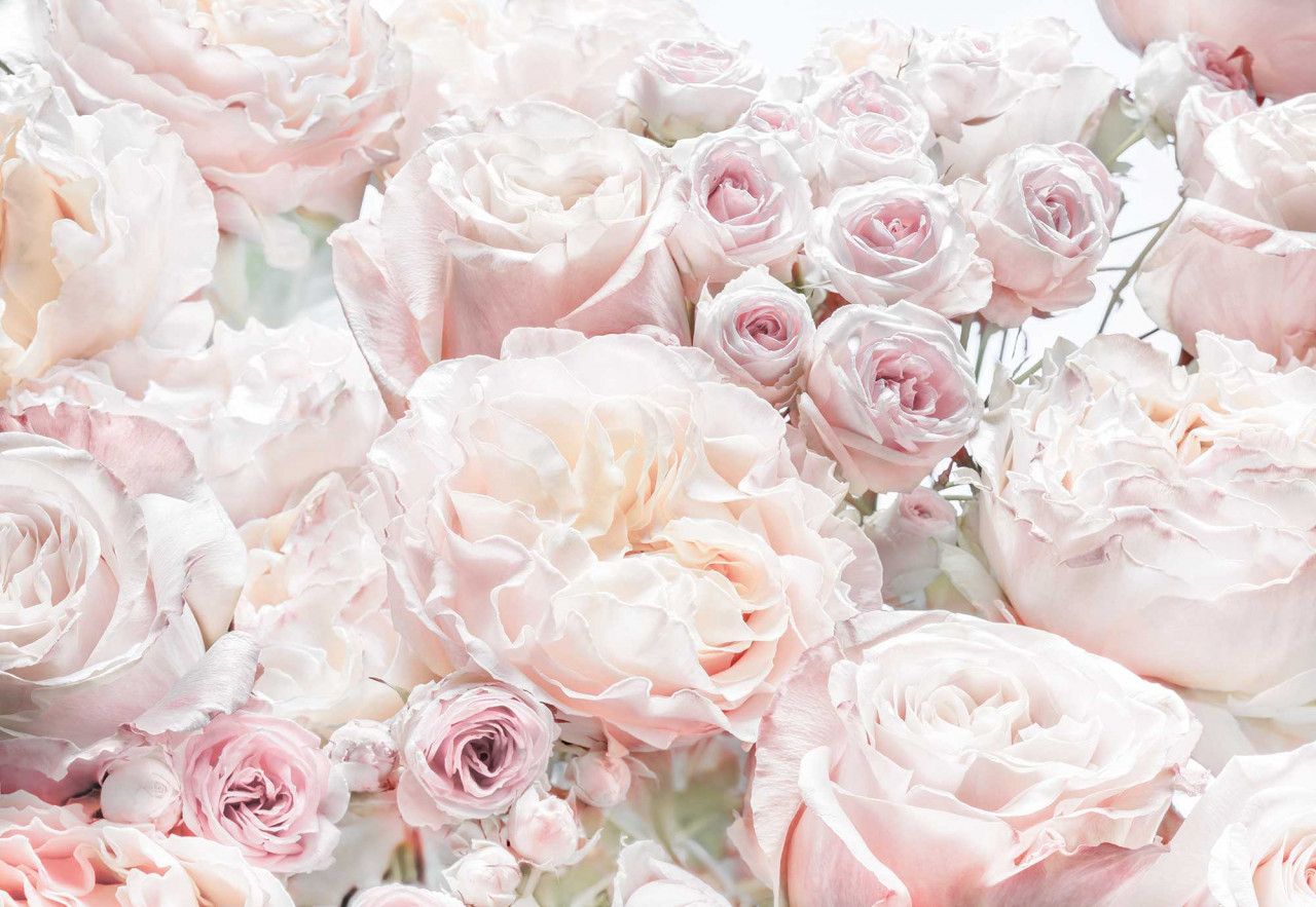 Spring Roses Mural