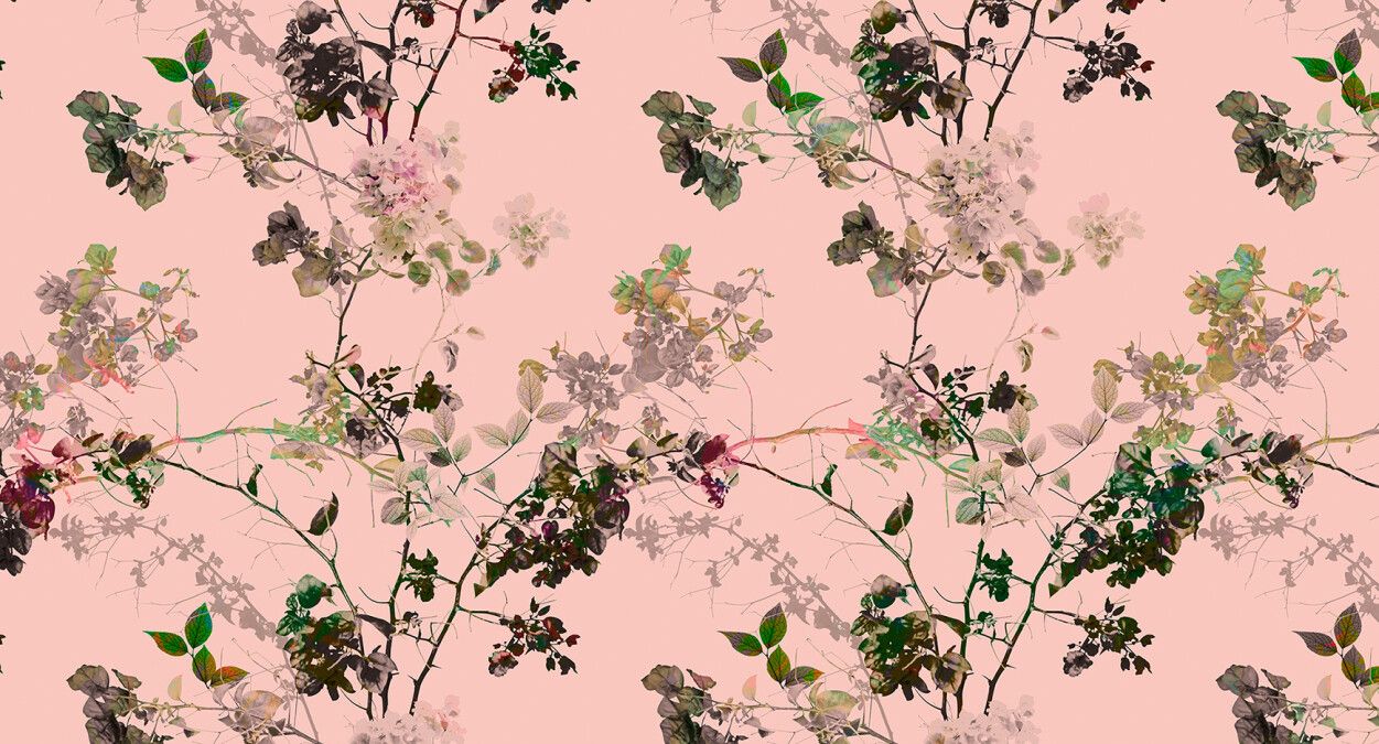 Branches Mural - Coral
