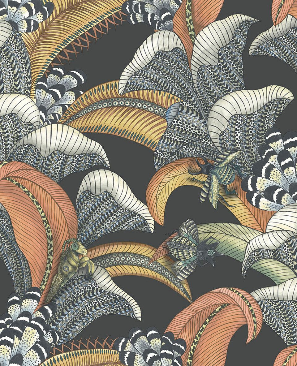 Charcoal - Hoopoe Leaves