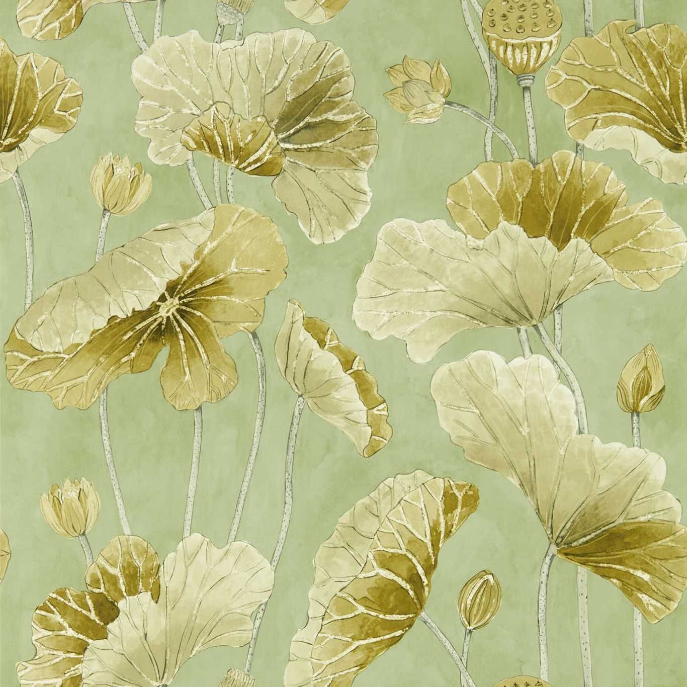 Olive - Lotus Leaf