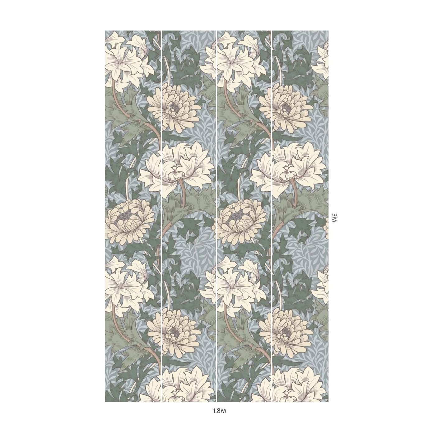 Blue - HOH Chrysanthemum Magna