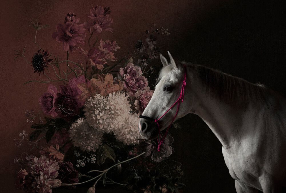 Horses 1 Mural