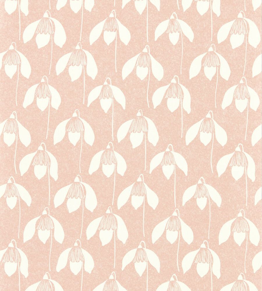Pink - Snowdrop