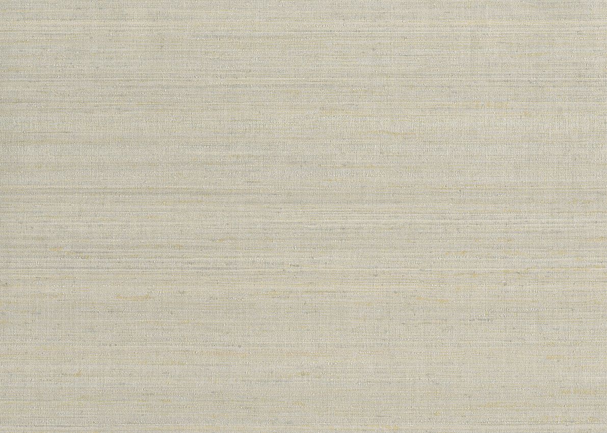 Champagne - Jaipur Silk