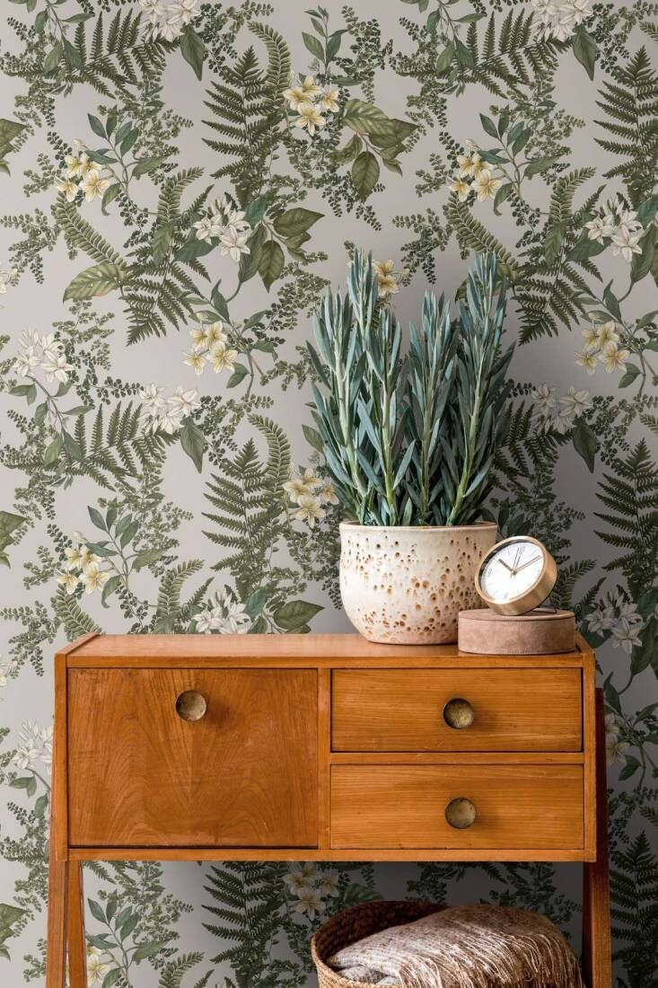 Grey - Frangipani