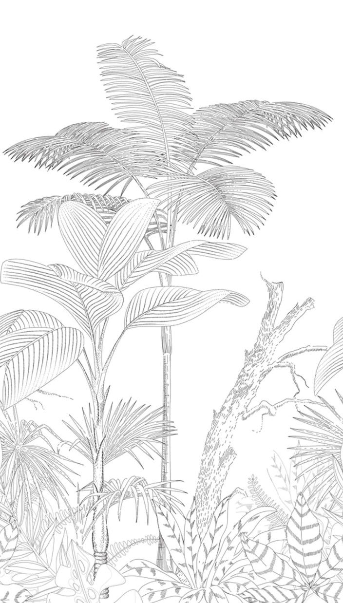 Rainforest Sketch Panel