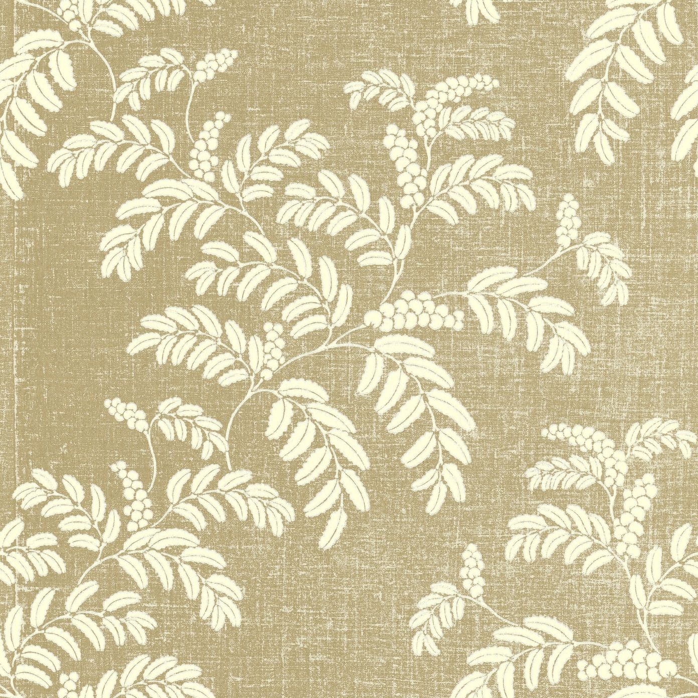 Mustard - LVB Acacia