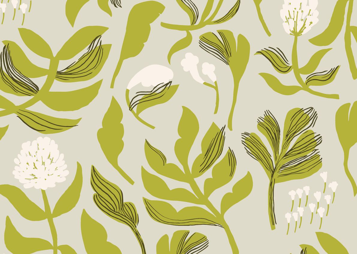 Olive - Kasvio
