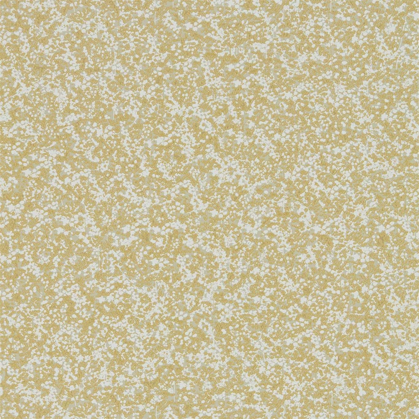 Mustard - Coral Anthology