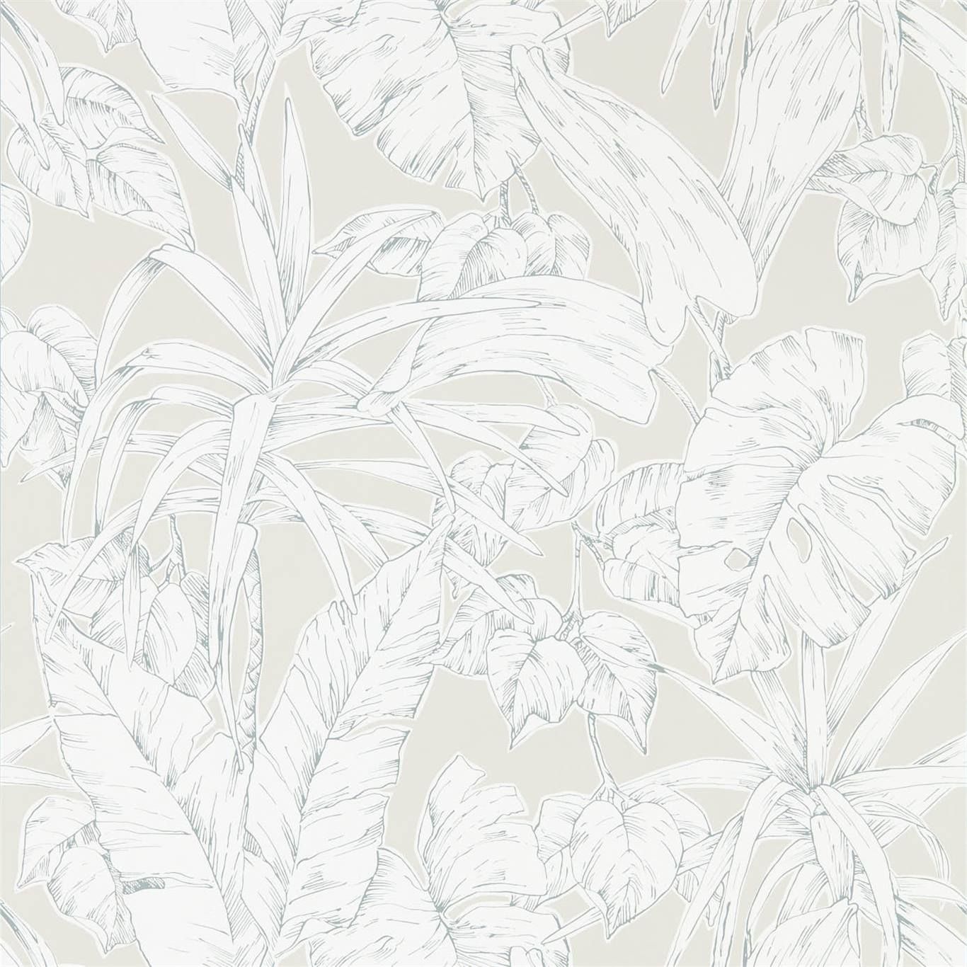 Beige - Parlour Palm