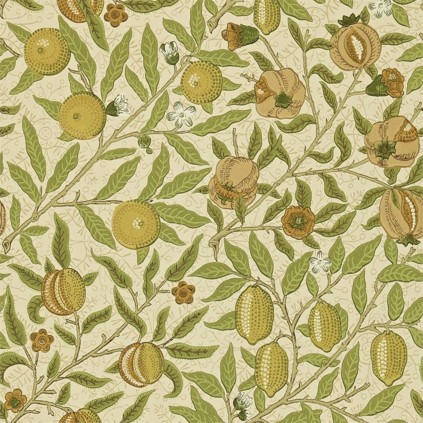 Olive - Fruit