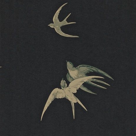 Black - Swallows