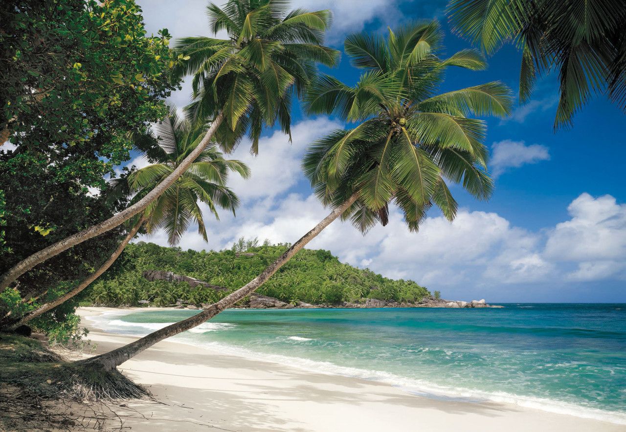 Tropical Sea Mural