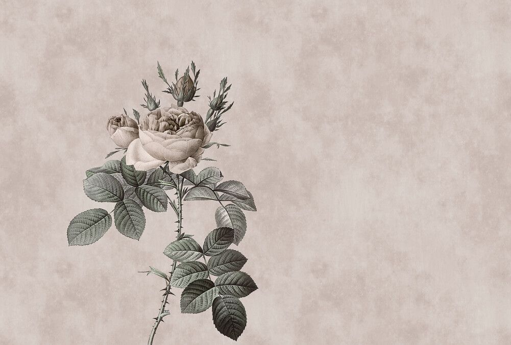 Rose 3 Mural