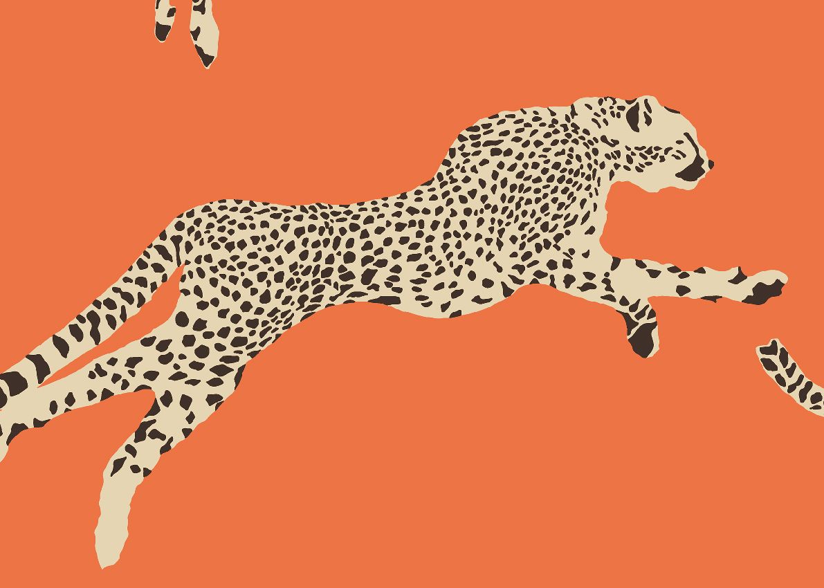 Orange - Leaping Cheetah