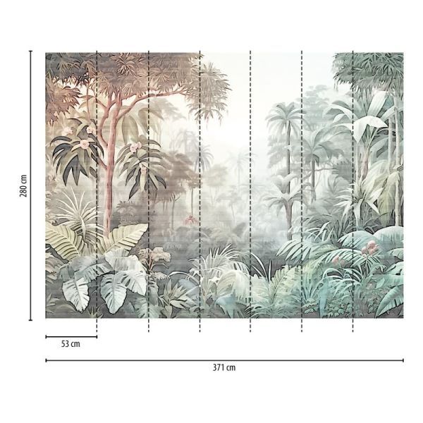 Hazy Forest