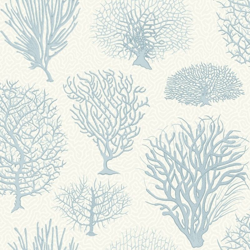 Blue - Seafern