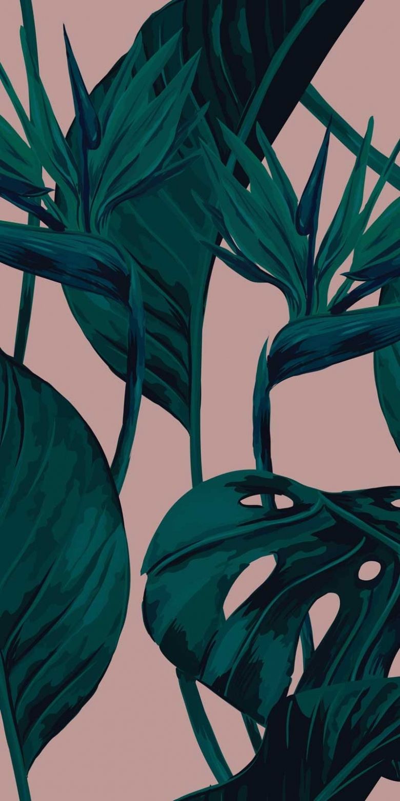 Pink - Tropical Leaves
