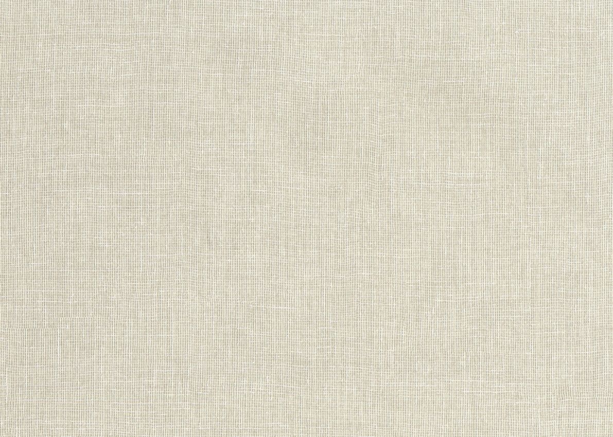 Champagne - Canvas