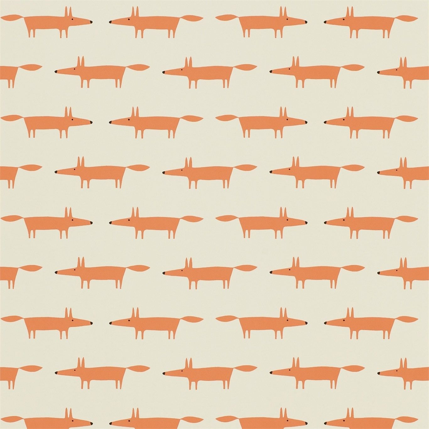 Orange - Little Fox
