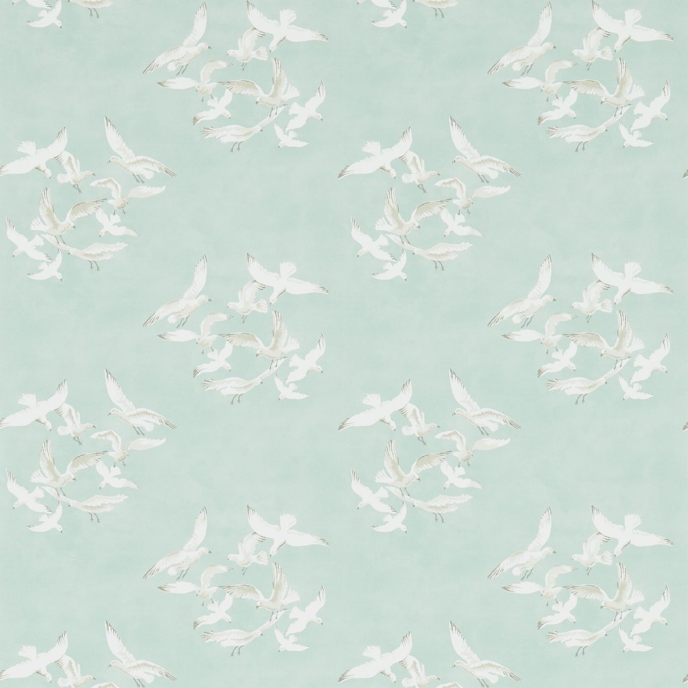 Duck Egg - Seagulls