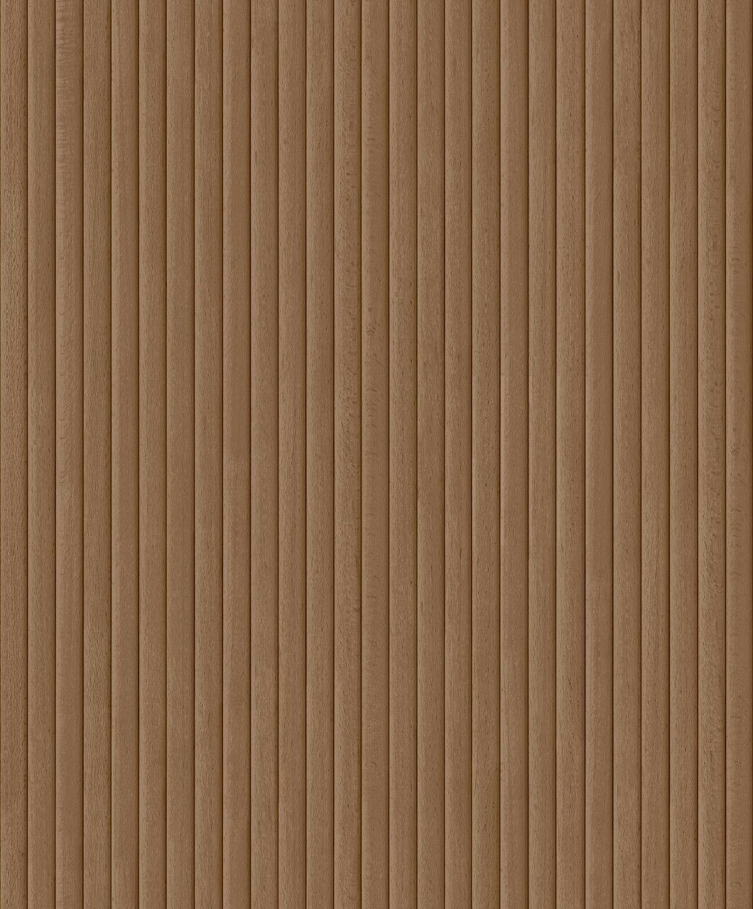 Brown - Boisea