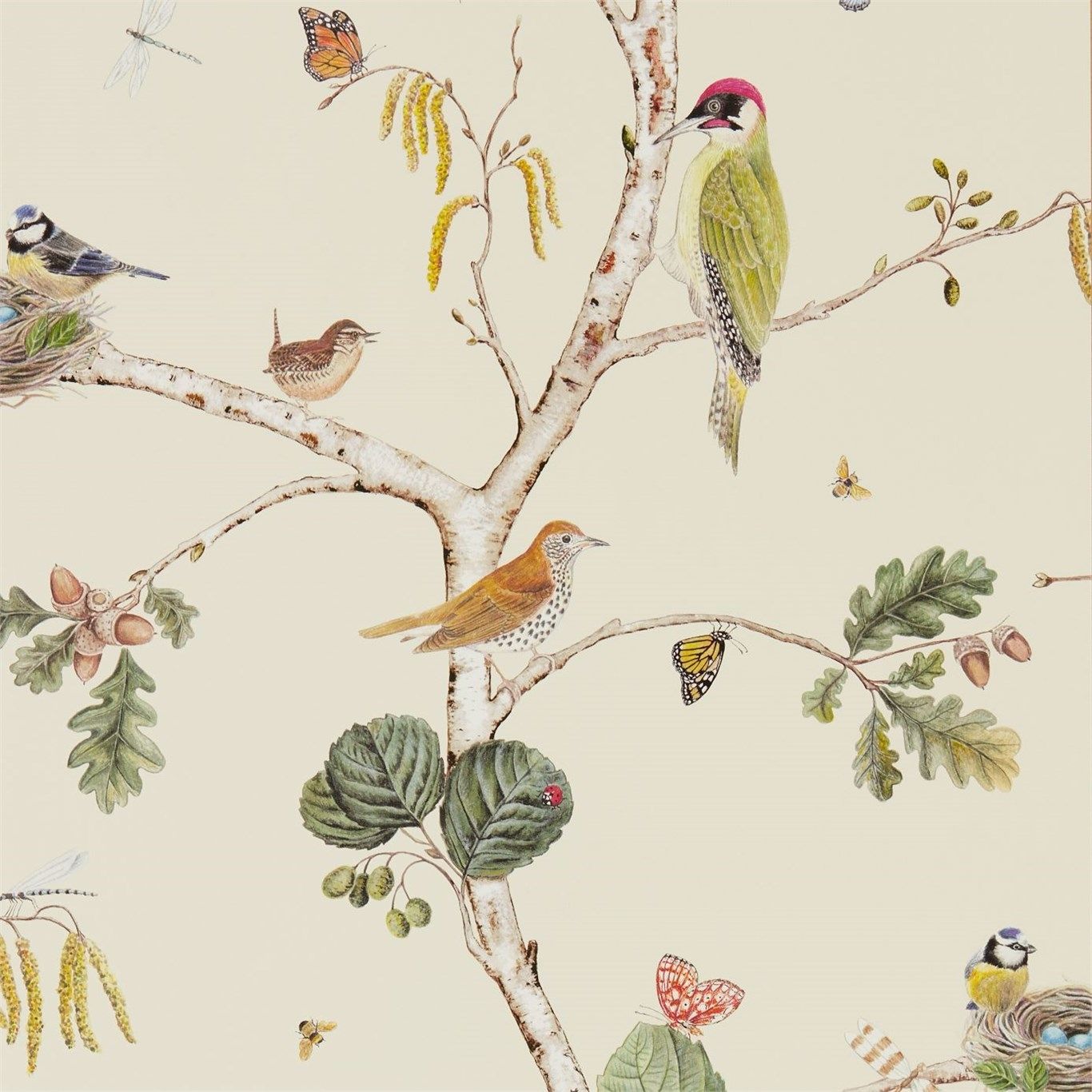 Multicolour - Woodland Chorus