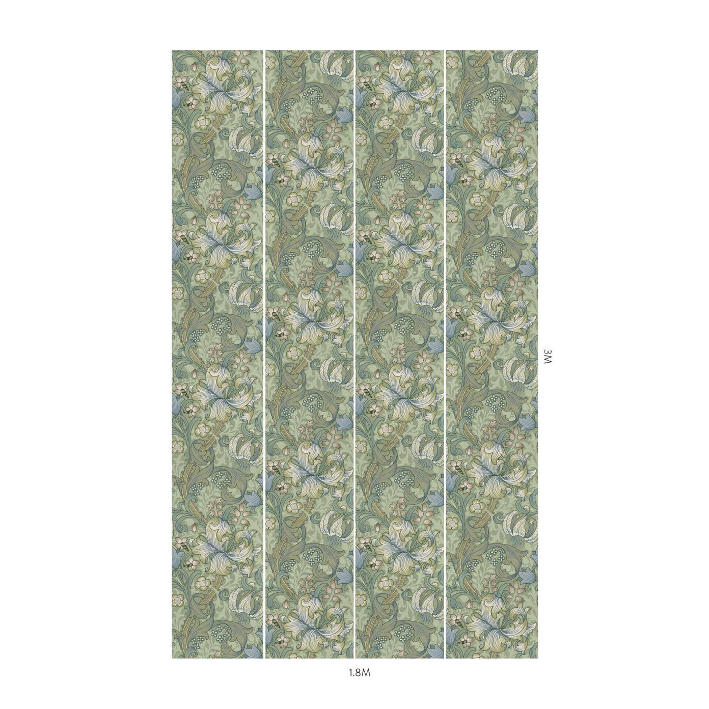 Olive - HOH Golden Lily