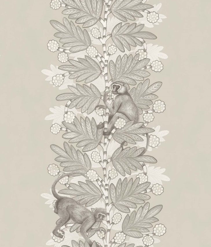 Taupe - Acacia