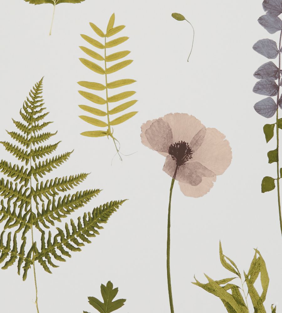 Green - Herbarium C&C