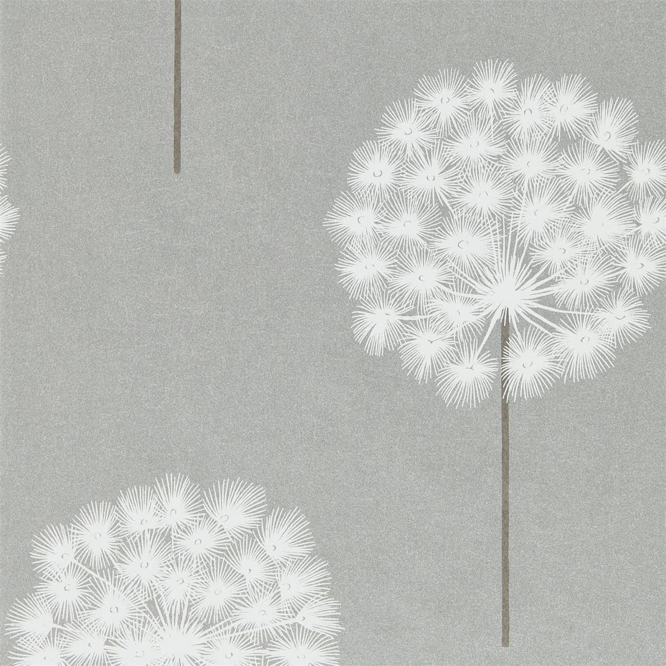 Silver - Amity