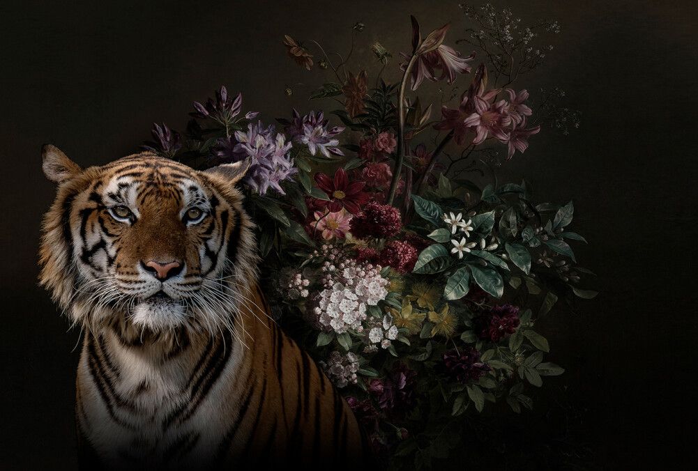 Wildlife 1 Mural