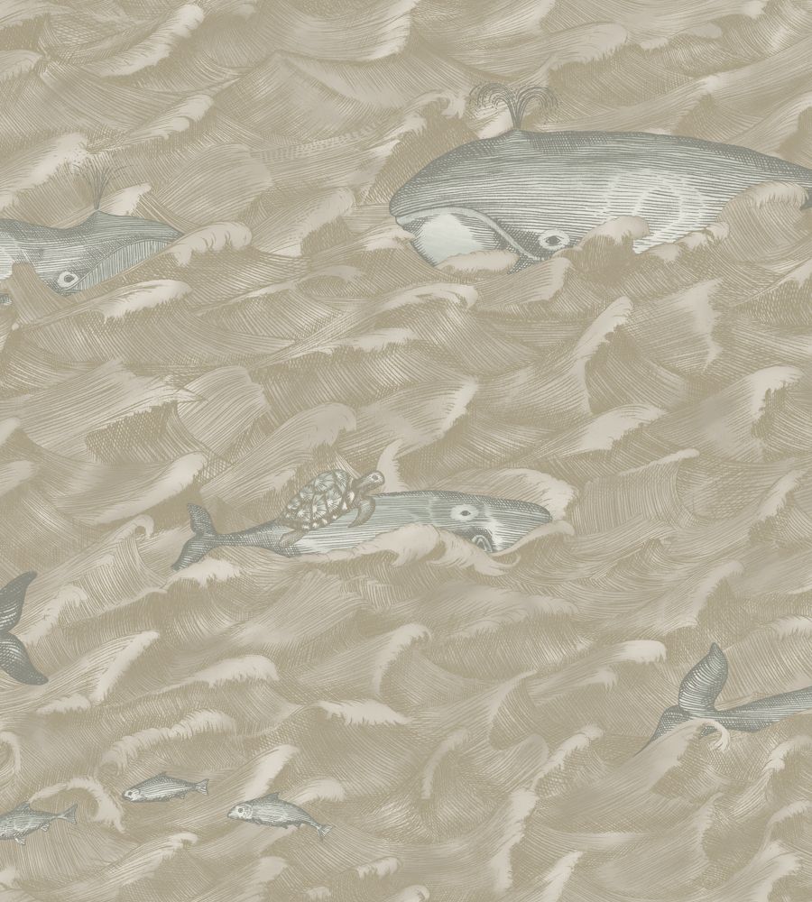 Pewter - Melville