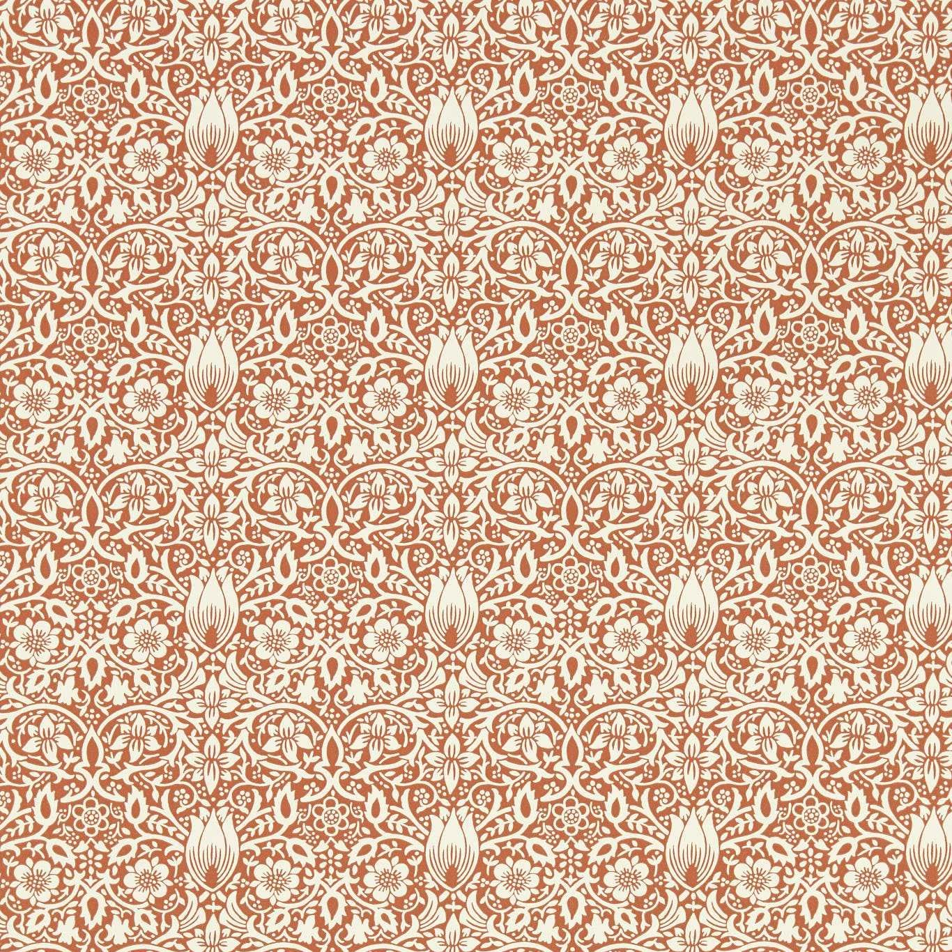 Terracotta - Borage