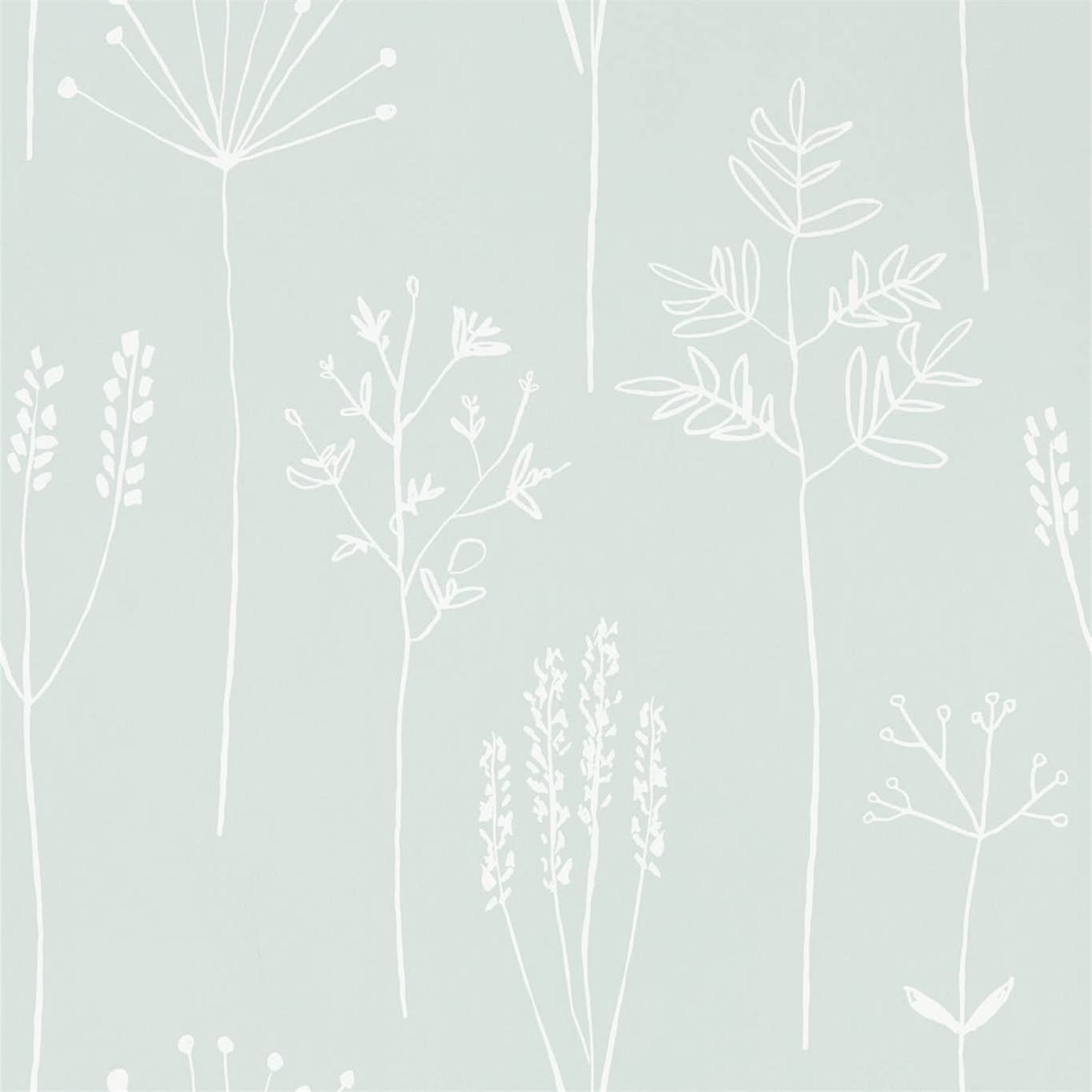 Mint - Stipa