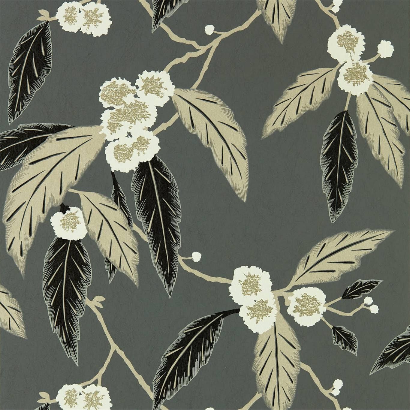 Charcoal - Coppice