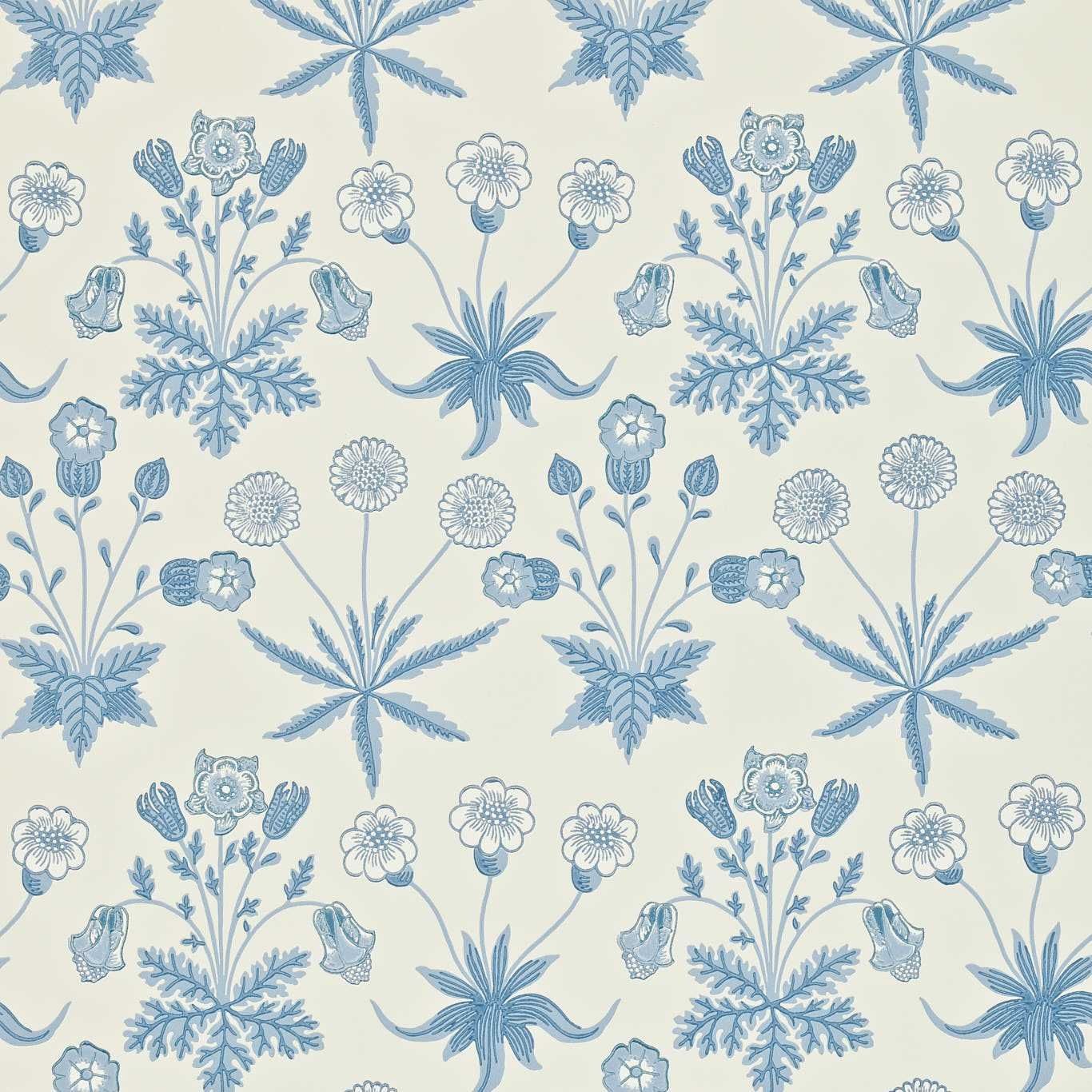 Blue - Morris Daisy