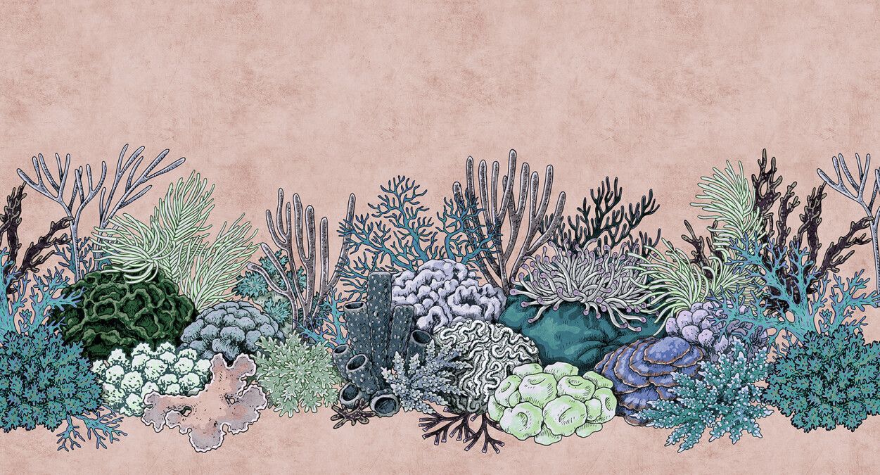 Octopus' Garden Mural - Pink