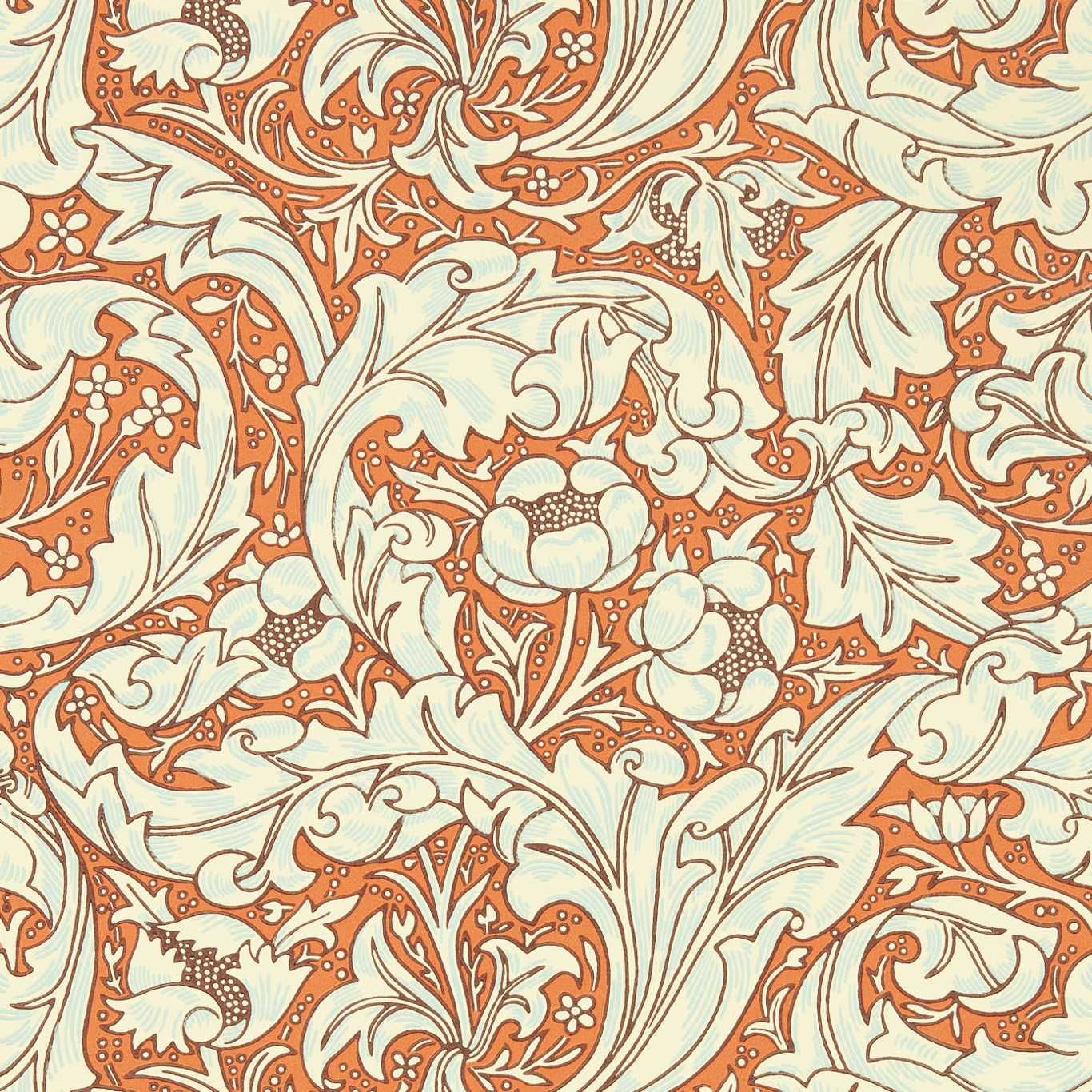 Orange - Bachelors Button