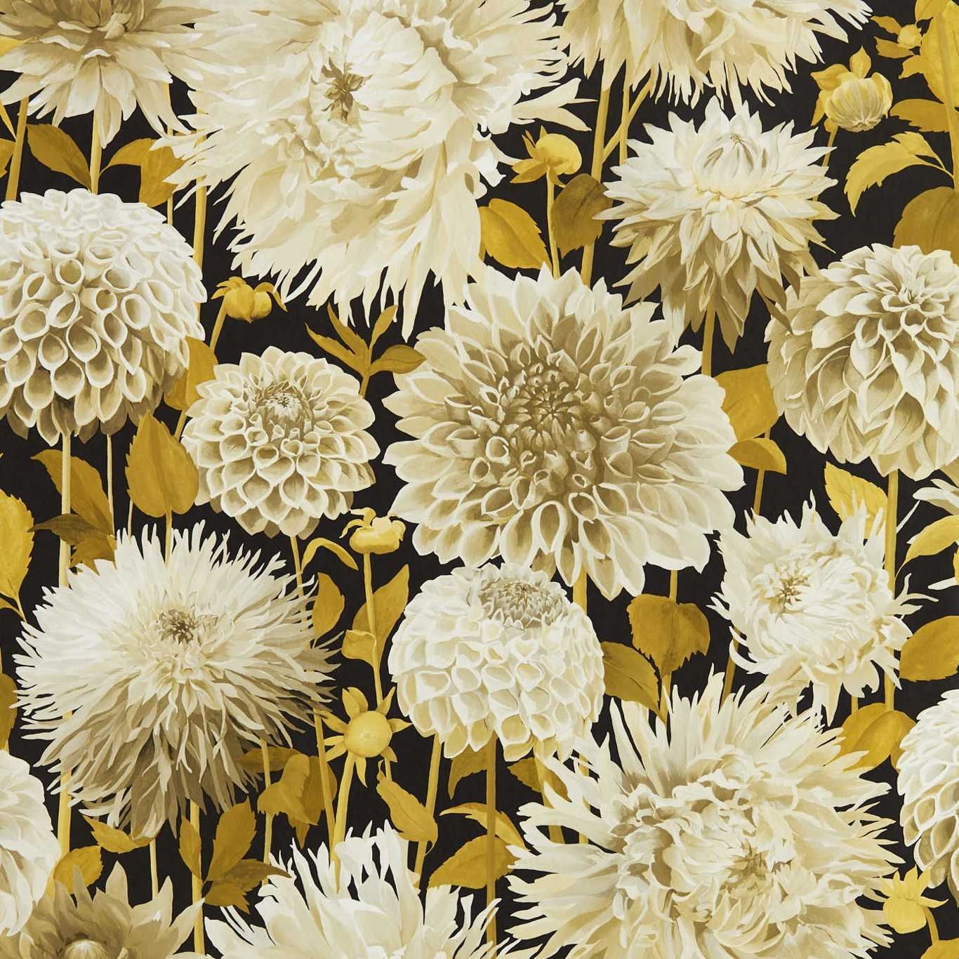 Mustard - Dahlia