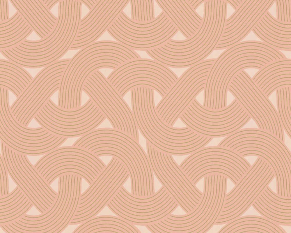 Salmon - Circuit