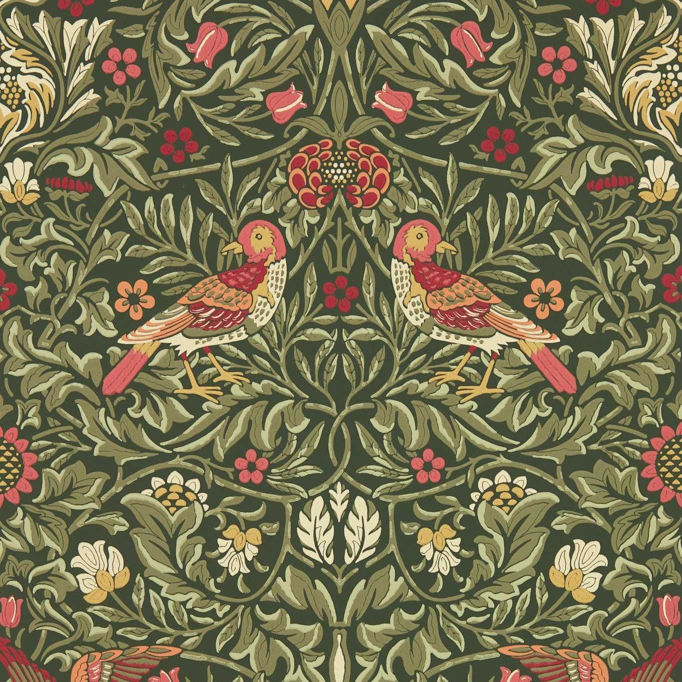 Olive - Bird