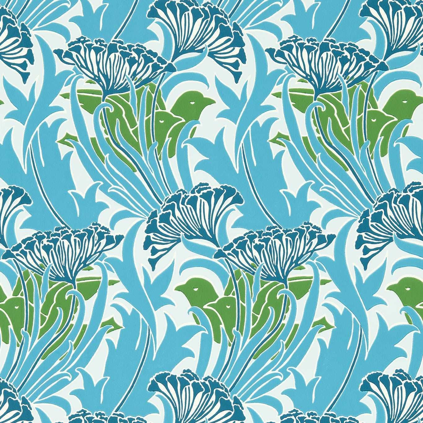 Blue - Laceflower