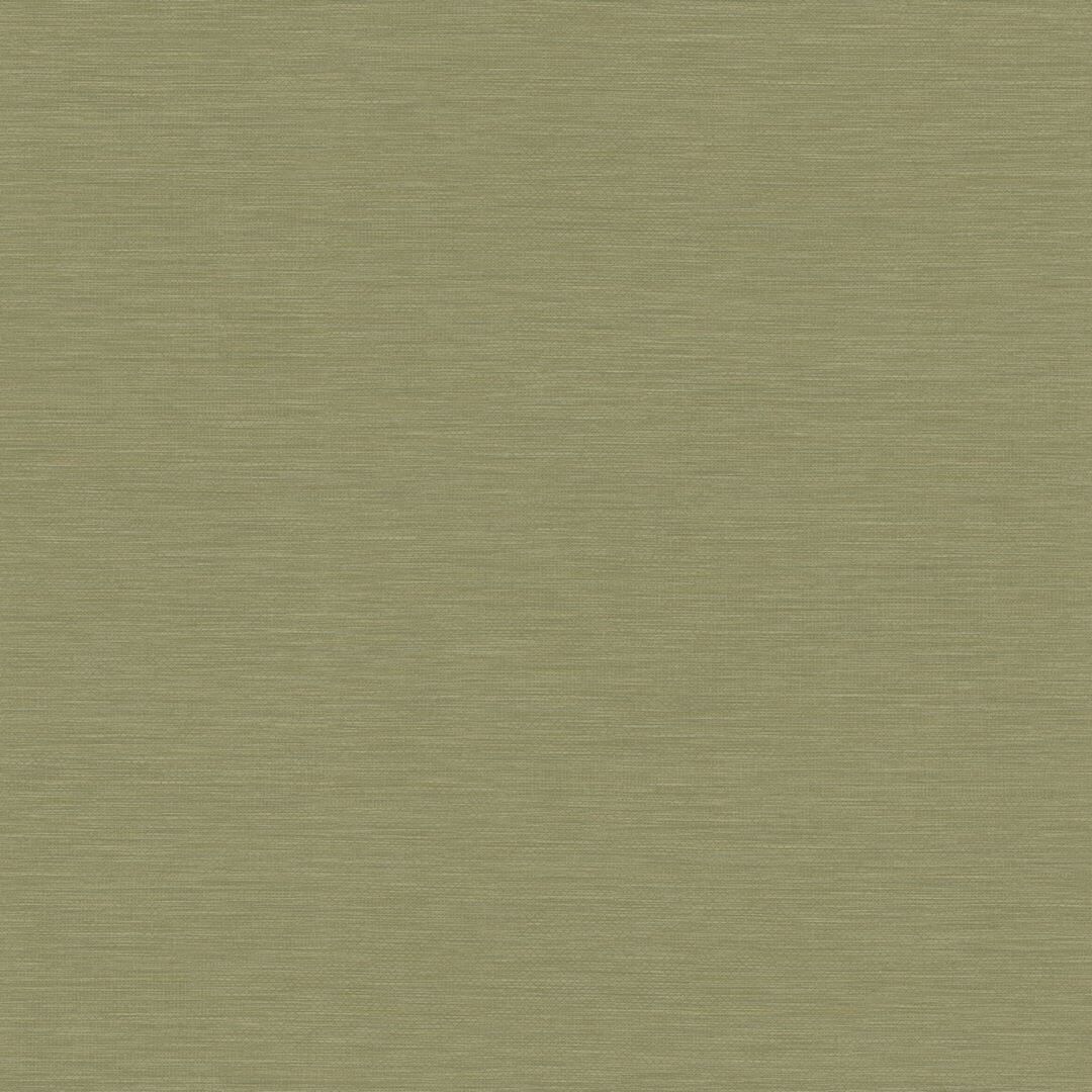 Olive - Boaco